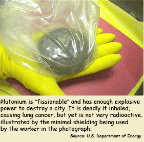 Enough plutonium to destroy a city can be held in the palm of the hand. Its extremely long hazardous life makes it a unique and urgent security challenge.